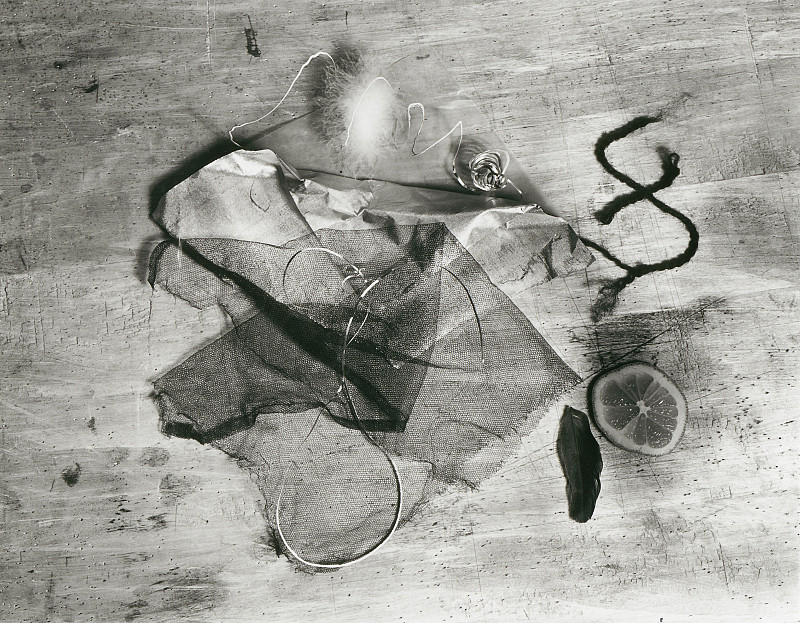 Walter Peterhans, “Ophelia (still life with lemon slice, tulle and feathers)”, c. 1929, modern print c. 1966 / Bauhaus-Archiv Berlin, © Walter Peterhans, Museum Folkwang, Essen