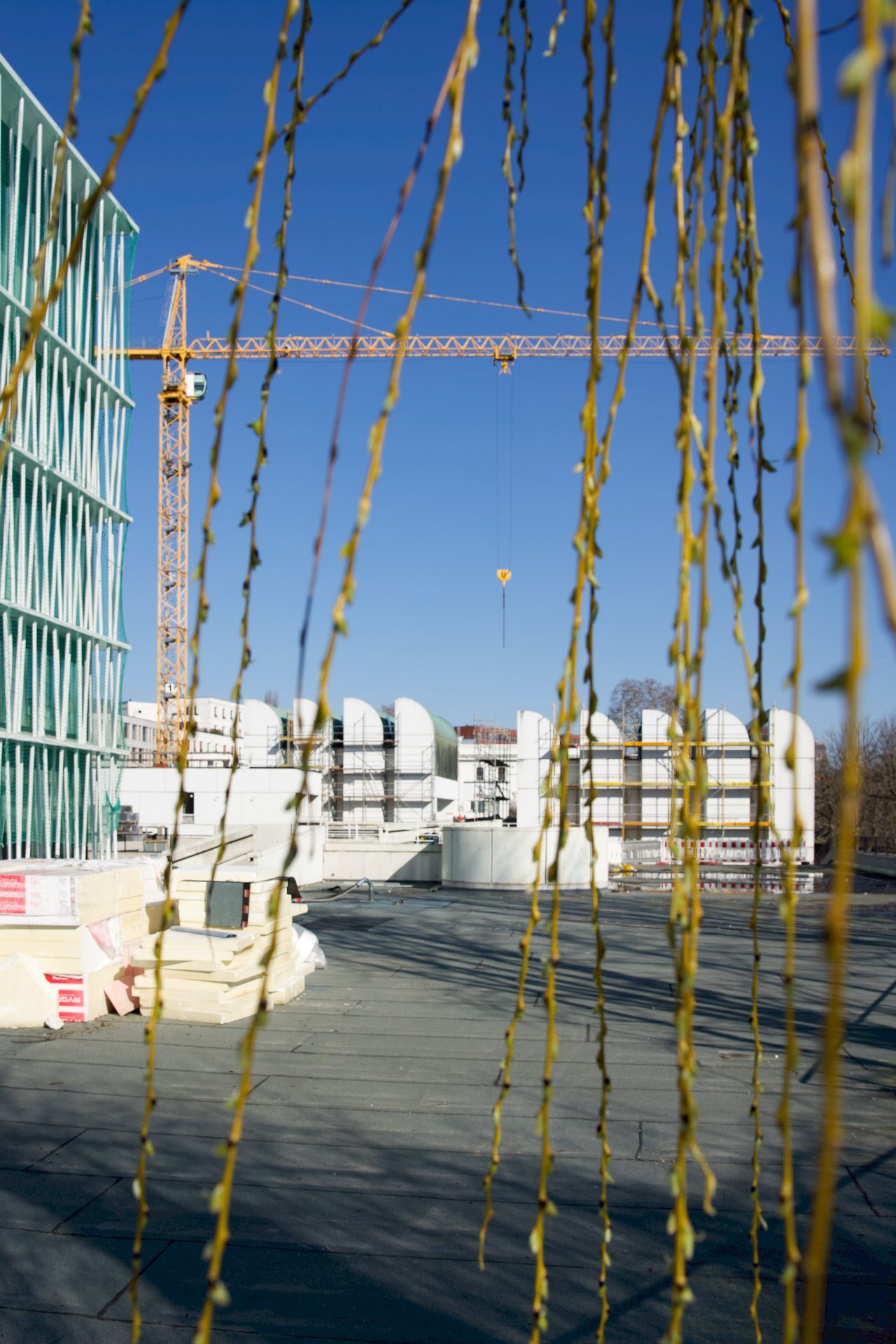 Construction site with cranes and building materials, surrounded by leafy branches and clear blue sky.