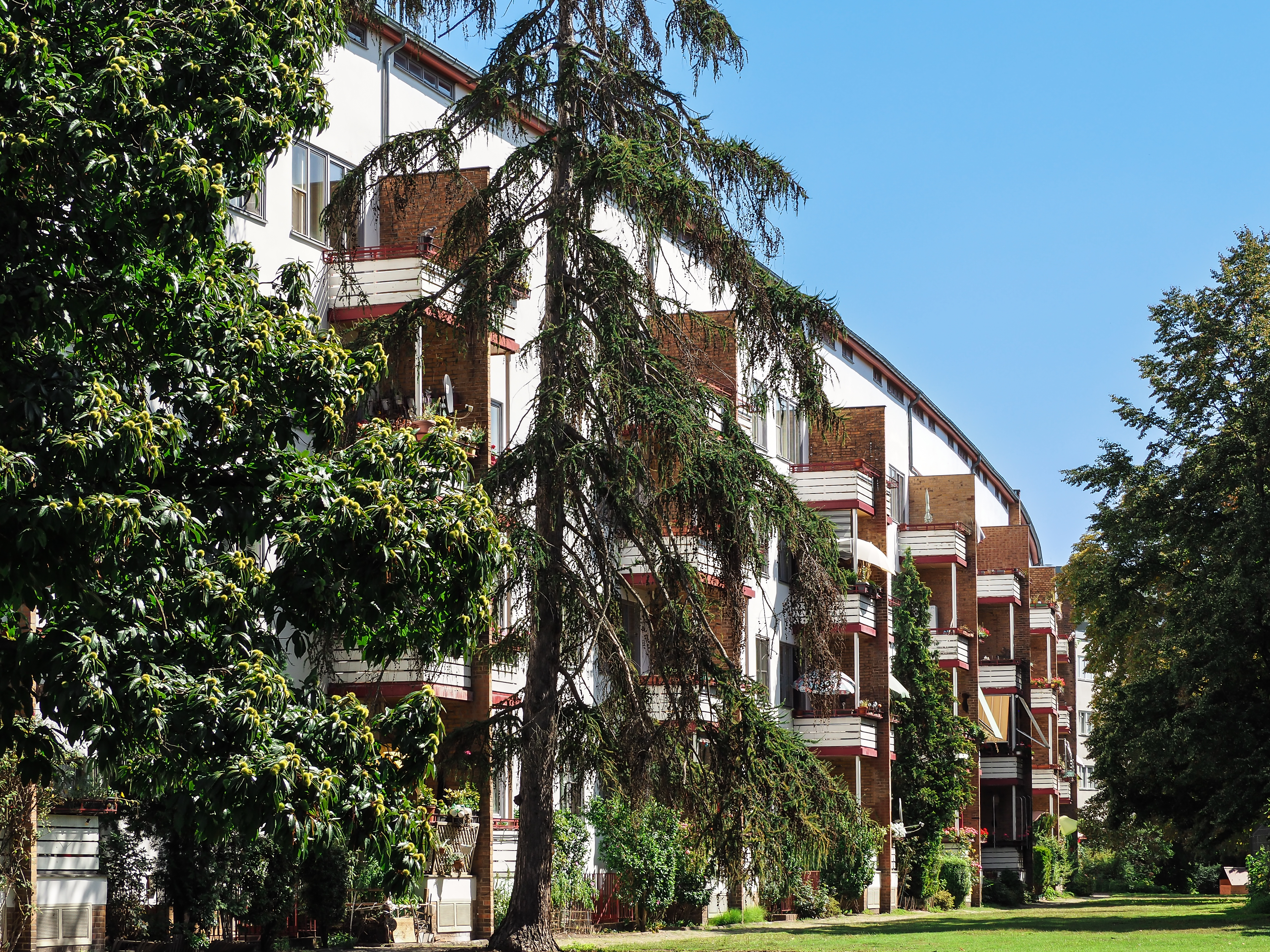 Moderne Wohnanlage mit Balkonen, umgeben von hohen Bäumen und Grünflächen, unter einem strahlend blauen Himmel.