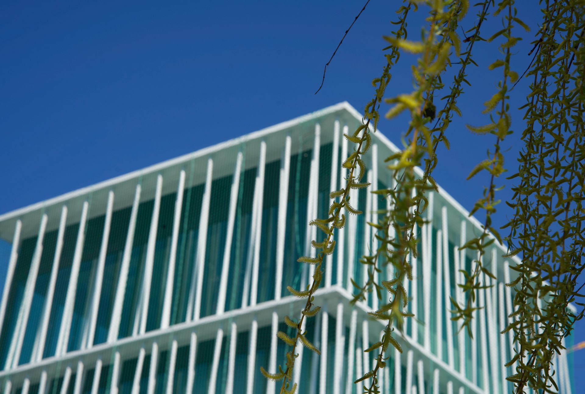 Modernes Gebäude mit transparenten Balkonen, umgeben von grünen Zweigen und klarem, blauem Himmel.