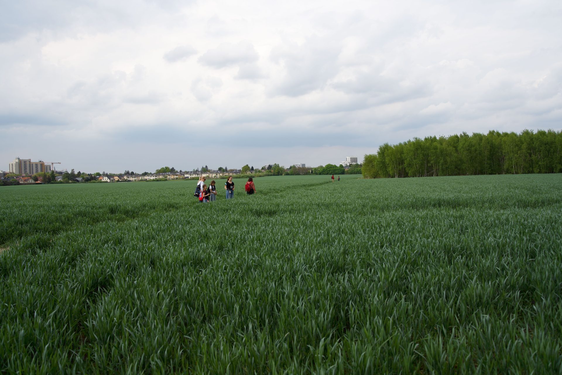 Grüne Felder mit mehreren Personen nahe eines Waldes und Wohngebäuden unter einem bewölkten Himmel.
