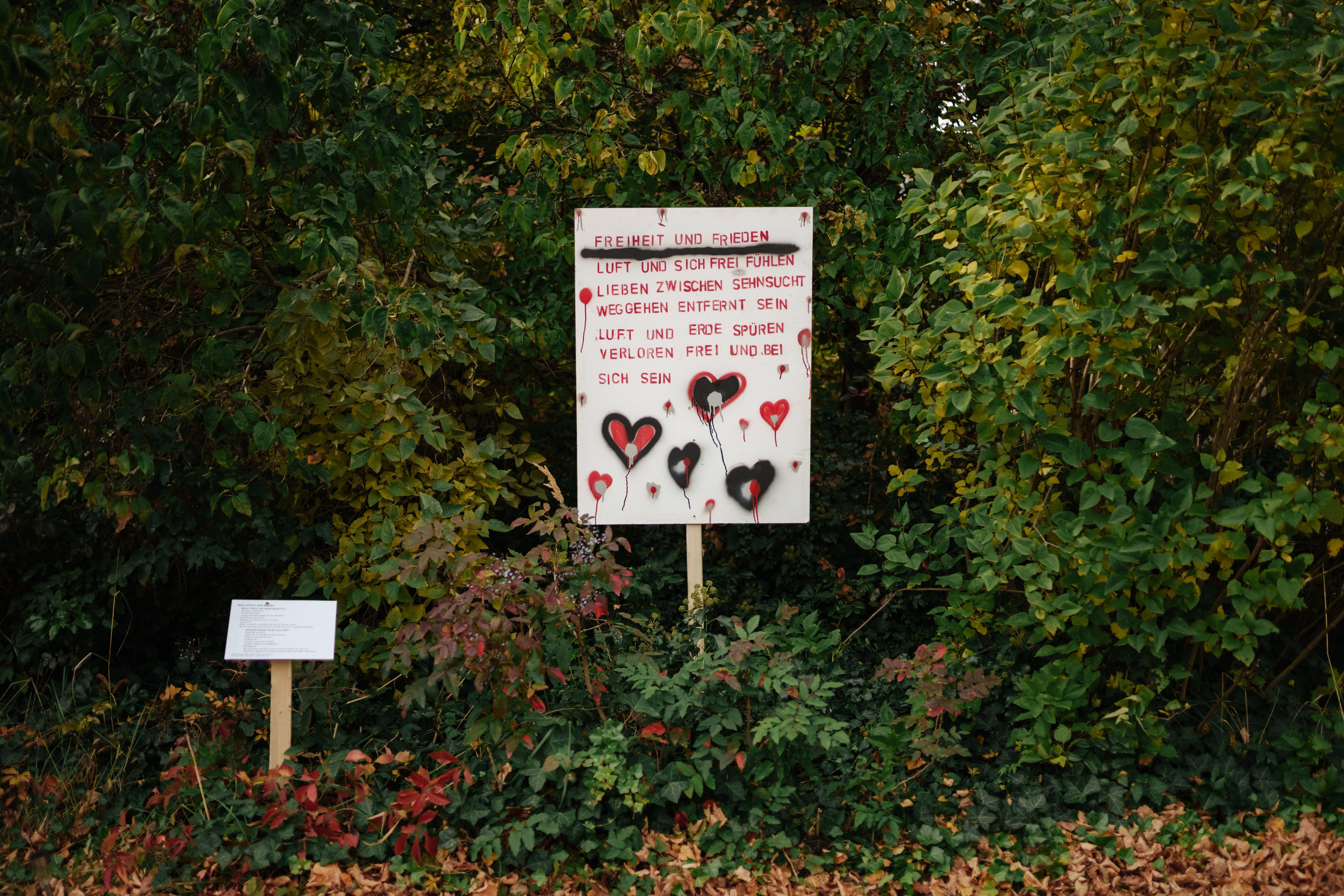 Ein Kunstwerk mit dem Schriftzug „Freiheit und Frieden“ auf einem Schild, umgeben von buntem Laub und grünen Pflanzen.