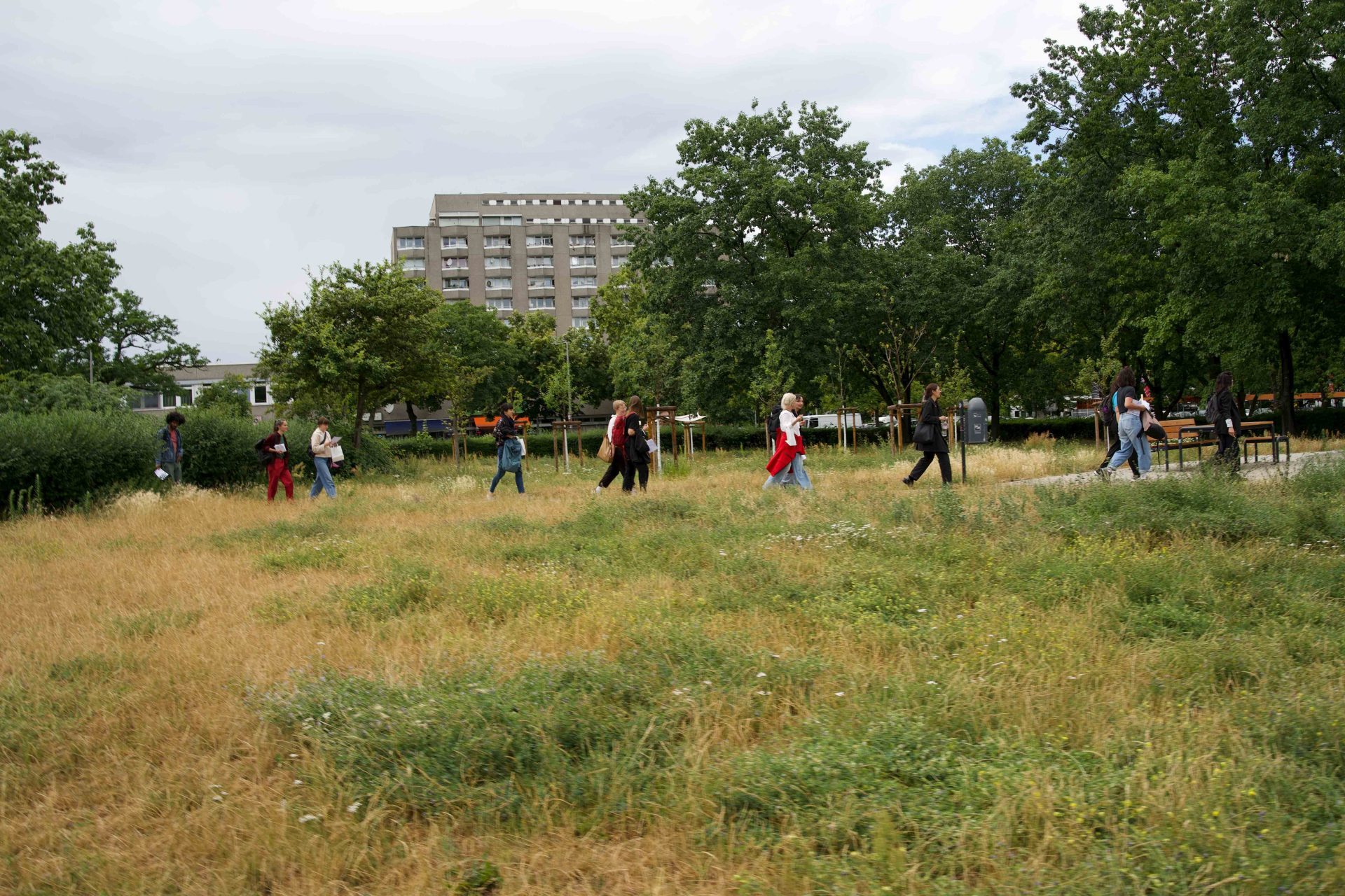 Gruppe von Personen, die auf einer grünen Wiese spazieren, im Hintergrund ein modernes Gebäude.