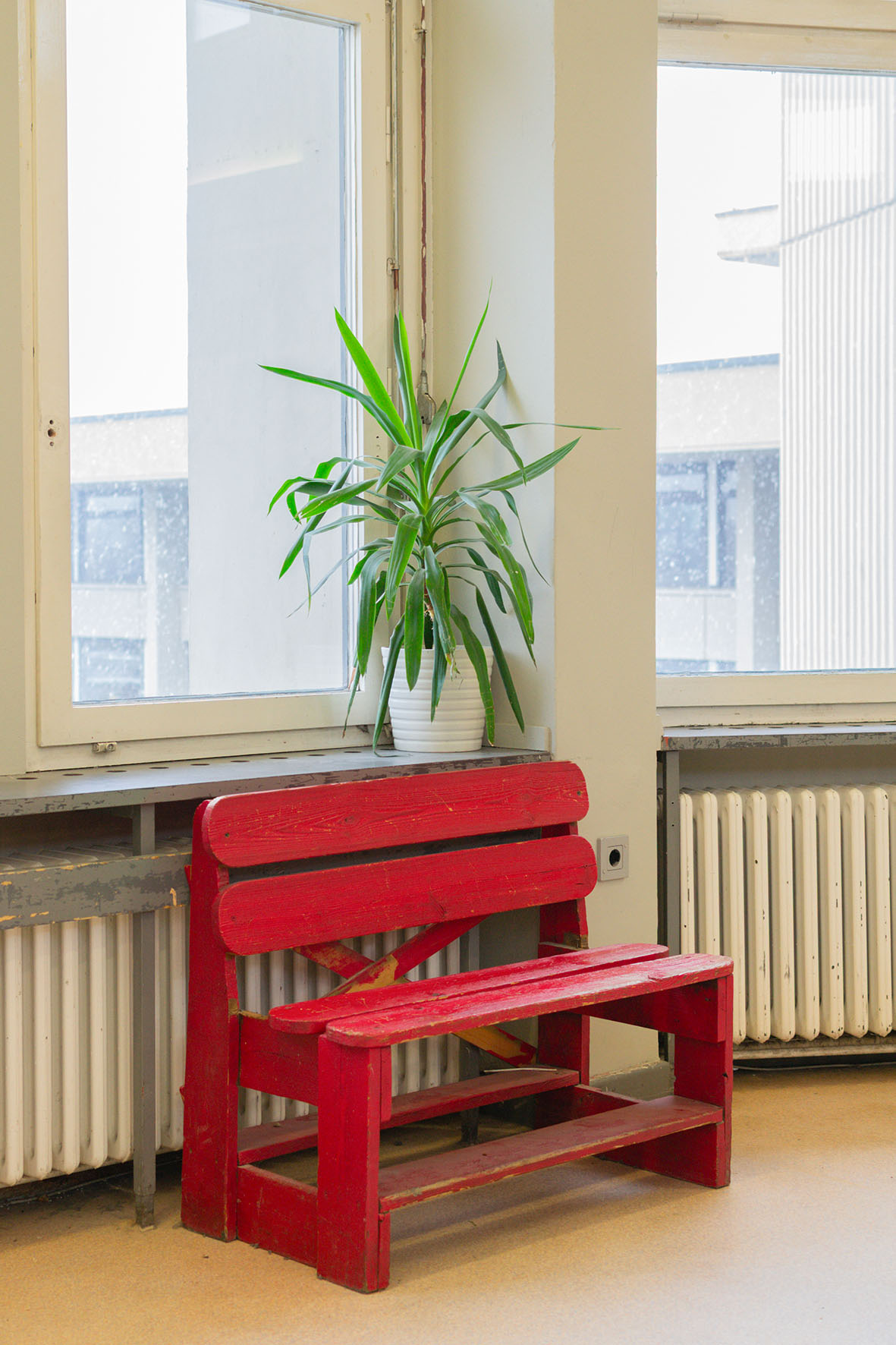 Rote Holzbank neben einem Fenster mit einer Zimmerpflanze und einem Heizkörper in einem hellen Raum.