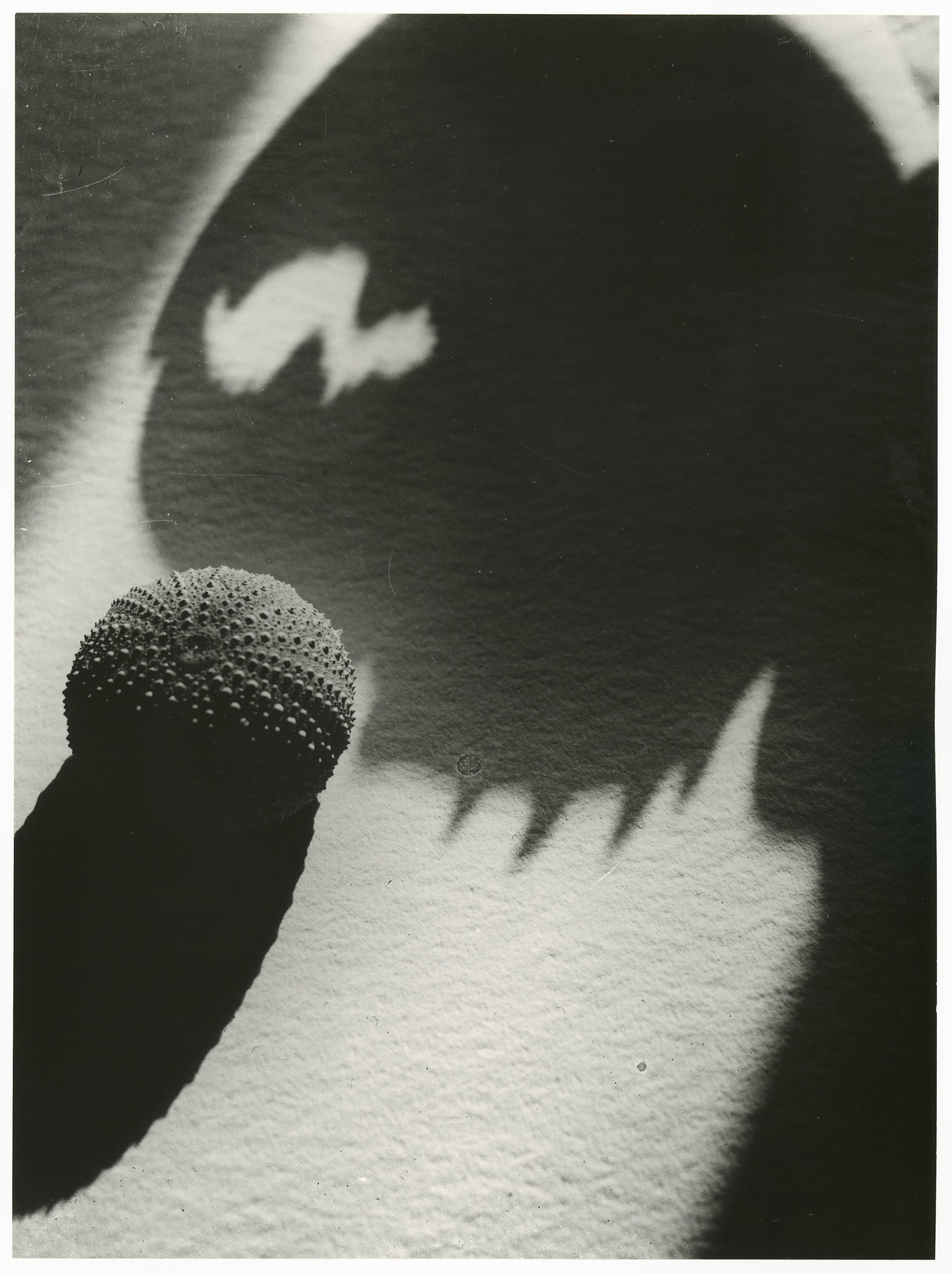 Schwarz-weiß-Fotografie einer kugelförmigen Struktur mit faszinierenden Schatten auf einer glatten Fläche.