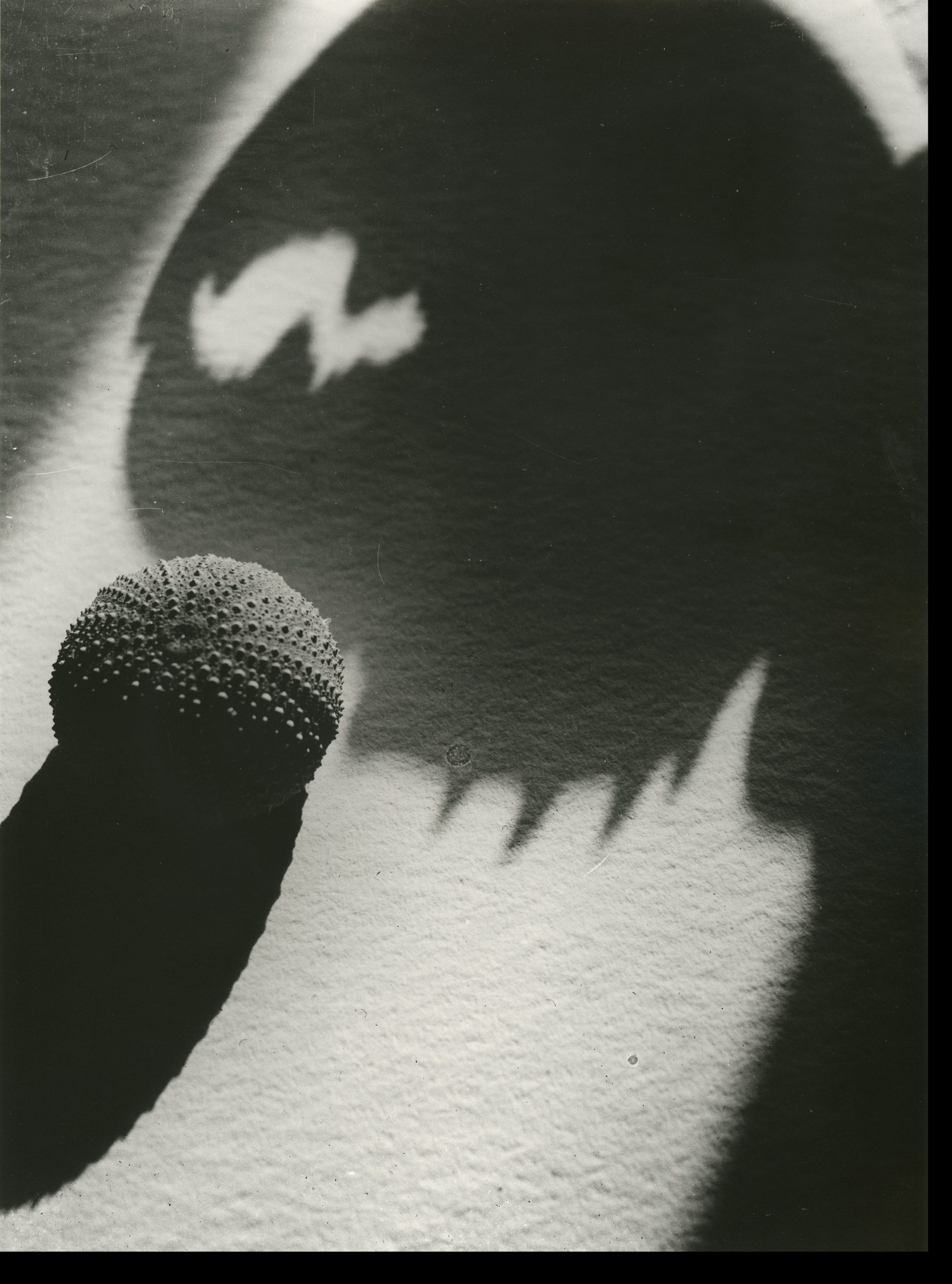 Black and white photography of a spherical structure with intriguing shadows on a smooth surface.