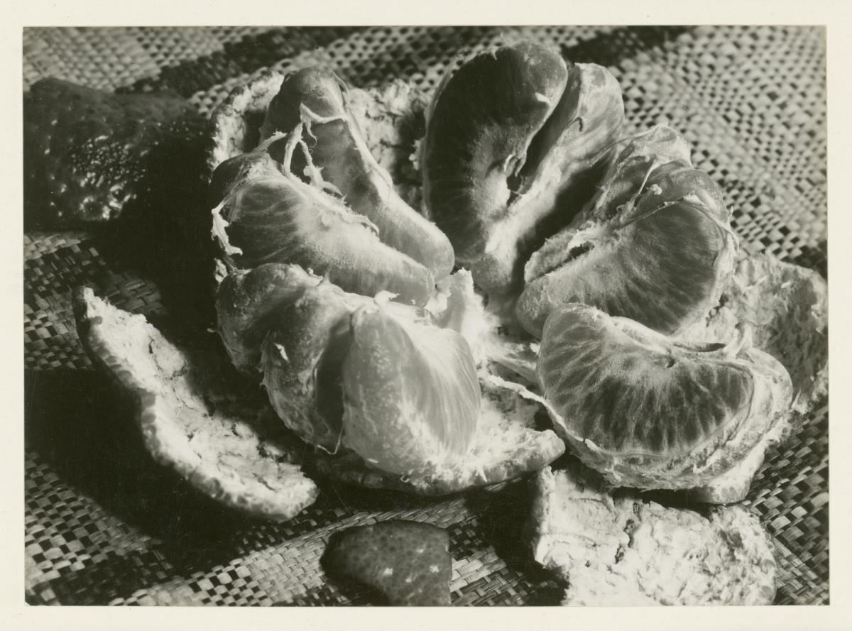 Aenne Biermann (1898-1933), Blutorange, 1928/1929