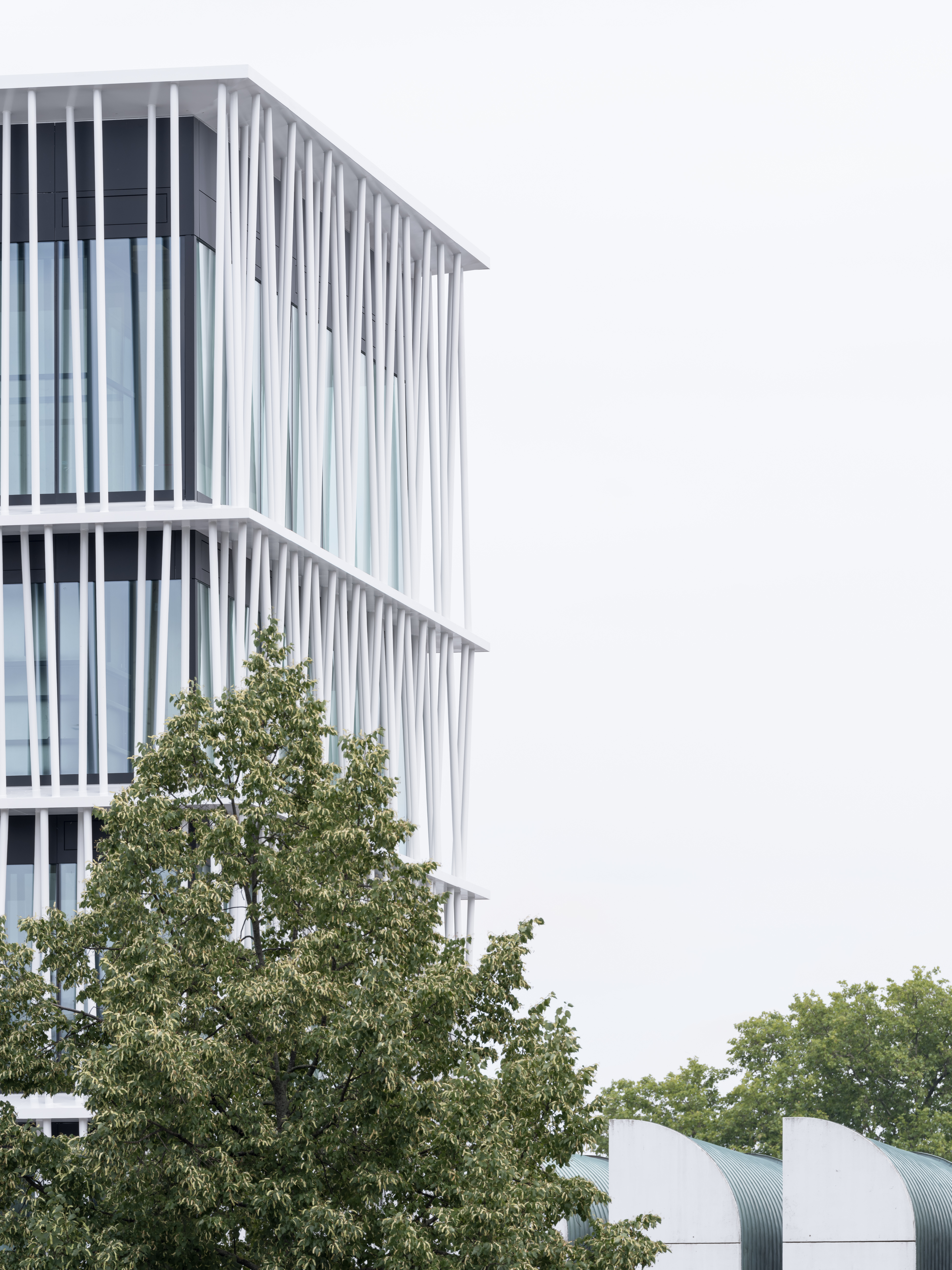 Moderne Architektur mit schlanken weißen Stützen, großen Fenstern und angrenzendem grünen Baum.